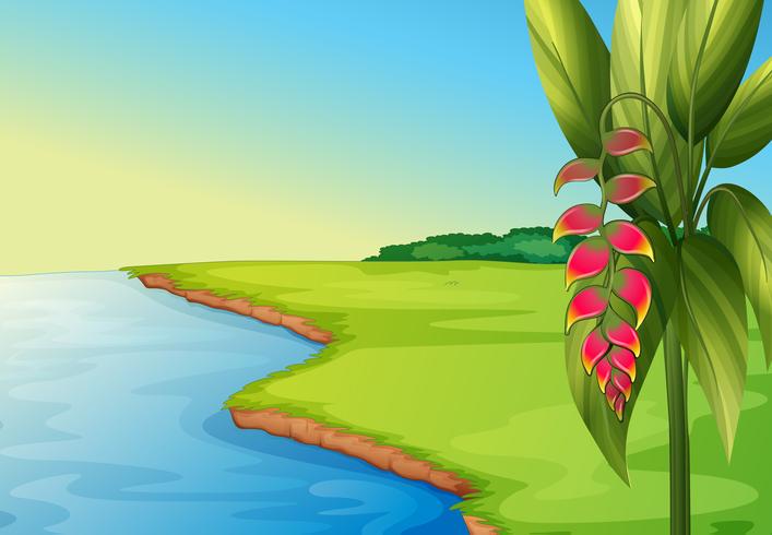 A panoramic view vector