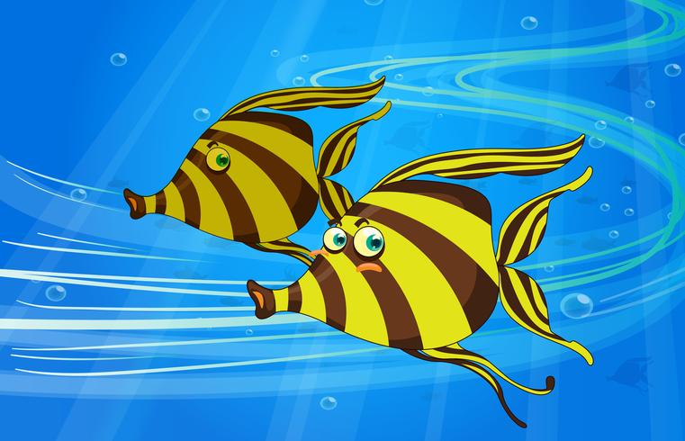 a fish vector