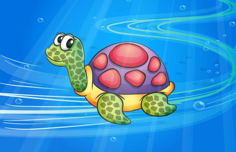 una tortuga vector