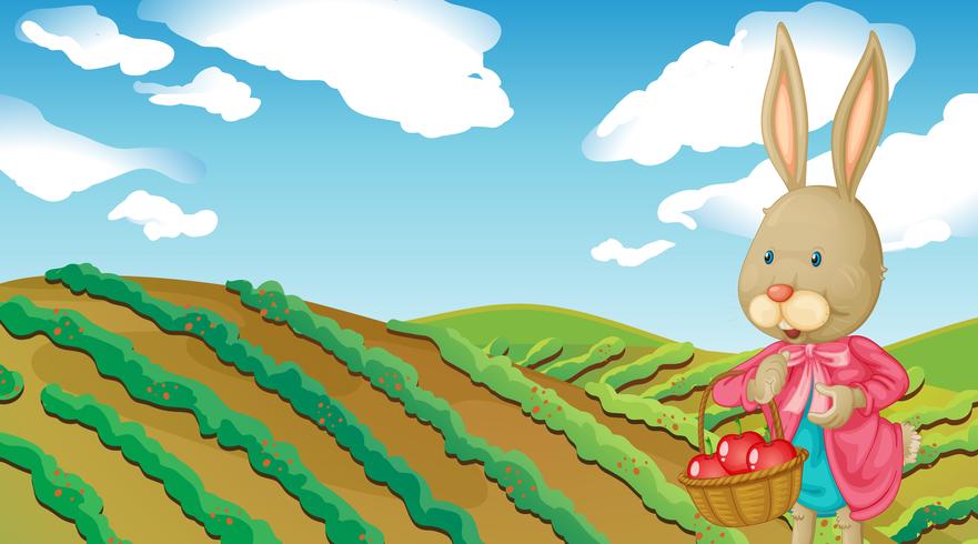 A rabbit and a farm vector