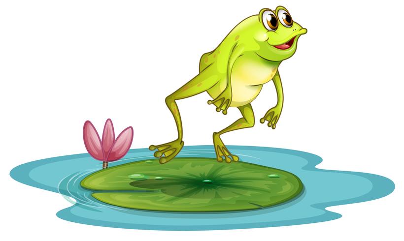 A frog at the pond vector