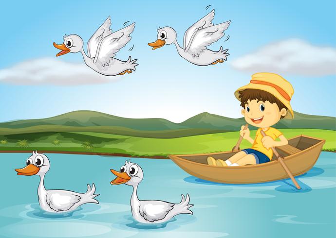 Patos y un niño vector