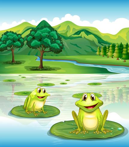 Two frogs above the waterlilies vector