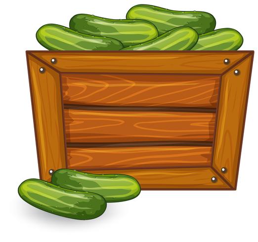 Pepino en banner de madera vector