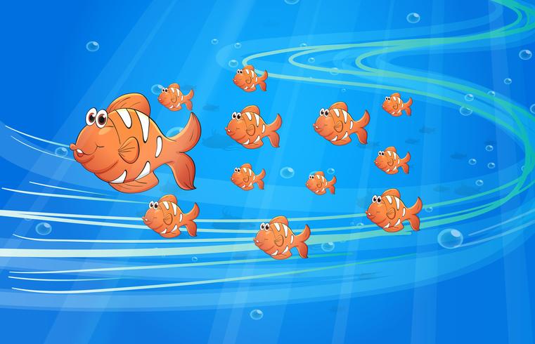 Fishes vector