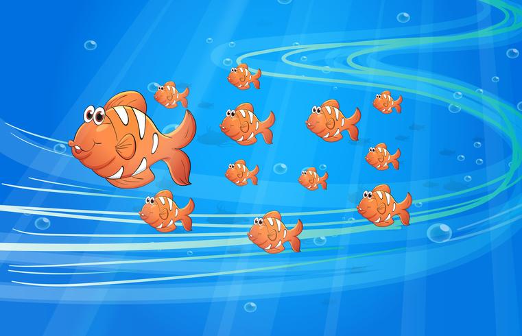 Los peces vector