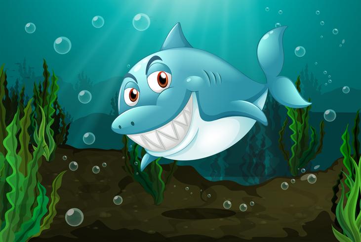 A smiling shark  vector