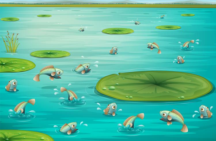 fishes vector