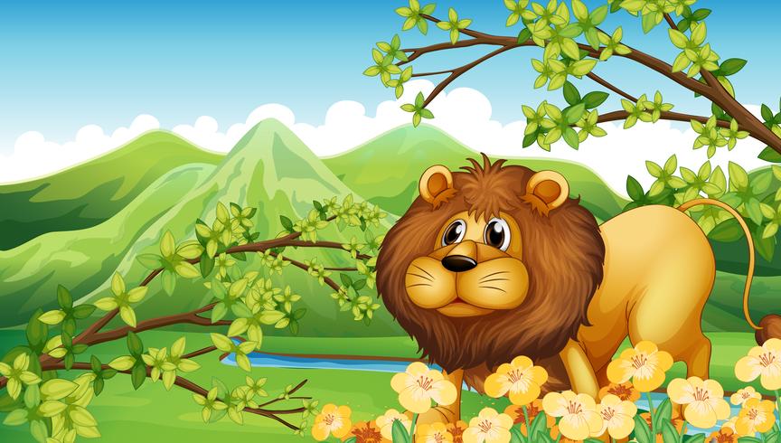 A lion in a green mountain area vector