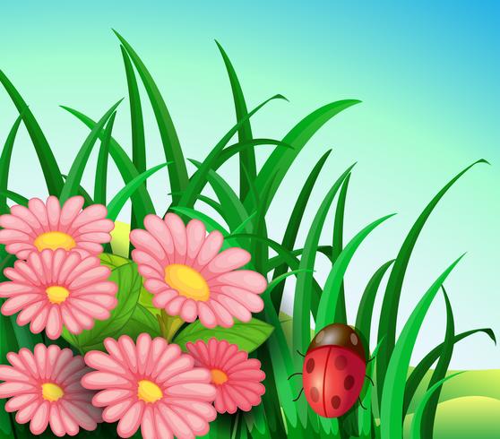 A ladybug in the garden with pink flowers vector