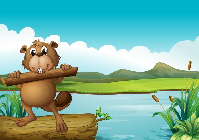 A beaver above a floating trunk holding a piece of wood vector