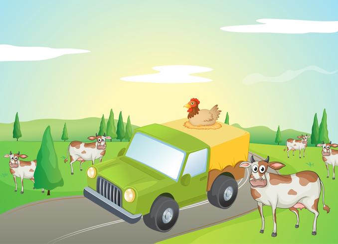 Cows and a chicken vector