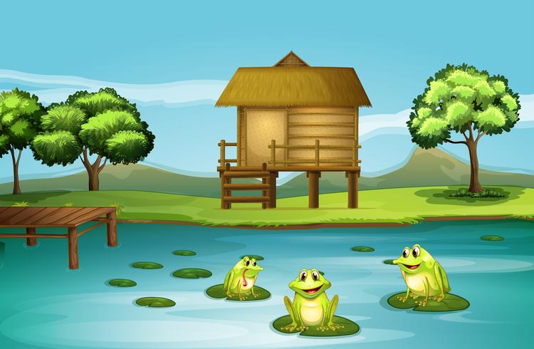 A pond with three playful frogs vector