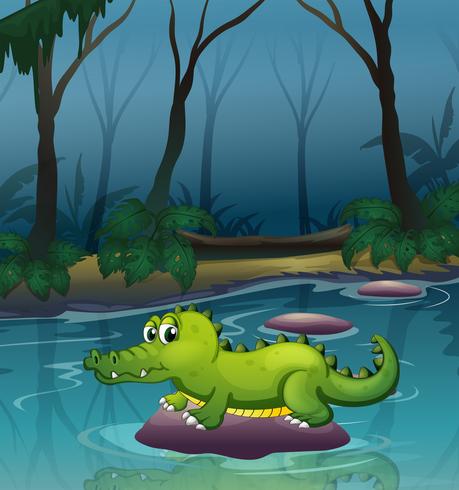 An alligator at the river inside the forest