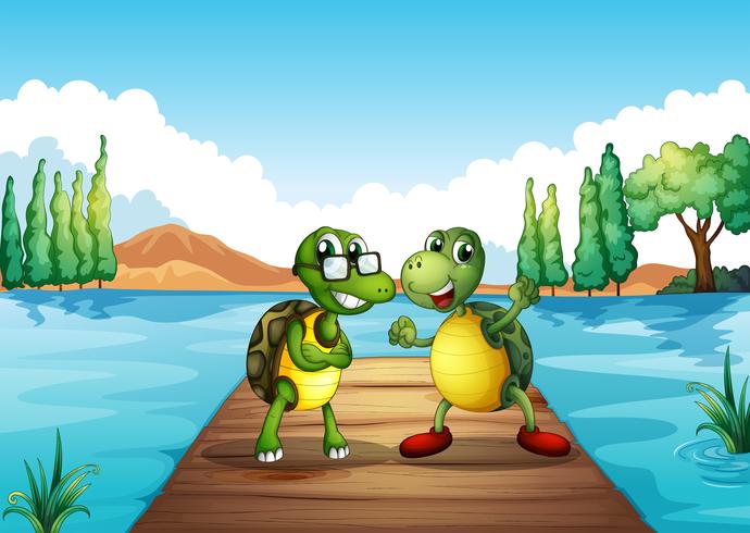 Two turtles standing at the diving board vector