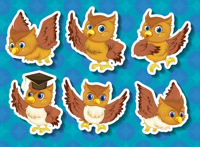 Owl vector
