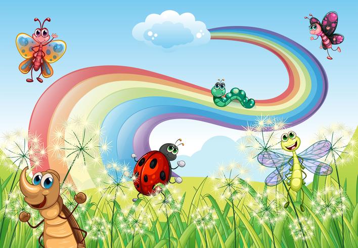 Different insects at the hilltop with a rainbow vector