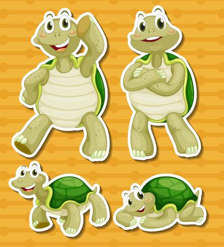 Turtle set vector