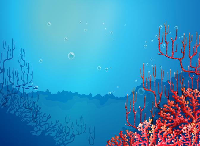Beautiful corals under the sea vector