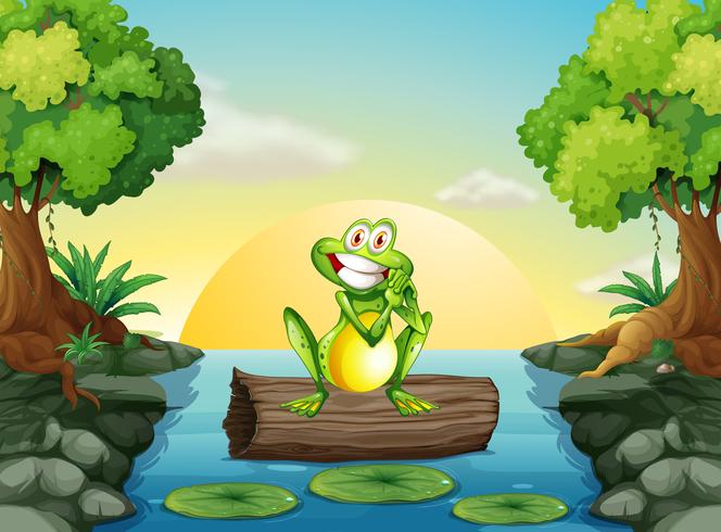 A frog at the river standing above the log vector