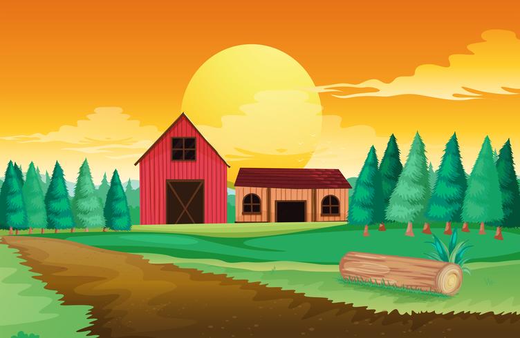 Farm houses near the pine trees vector