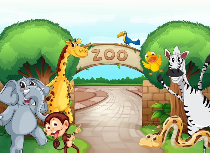 a zoo and the animals vector