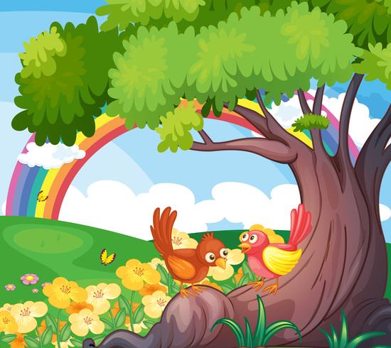 Birds under the tree with a rainbow in the sky vector