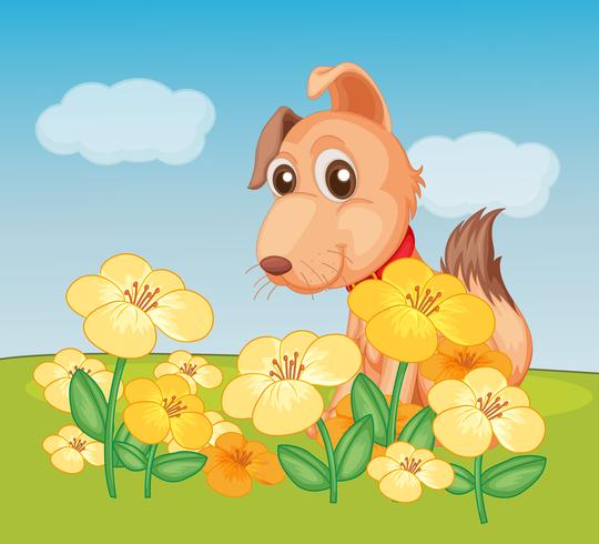 A dog and flower plant