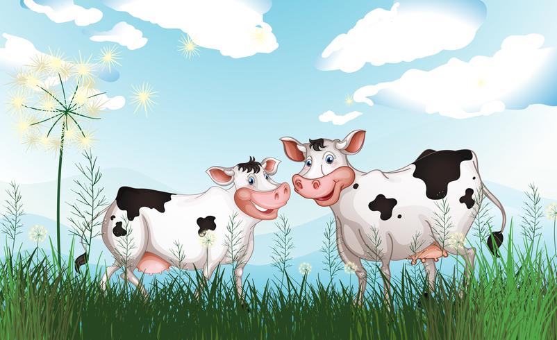 Two cows at the grassland vector