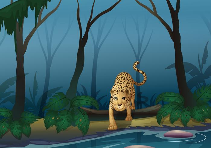 A leopard in the middle of the forest vector
