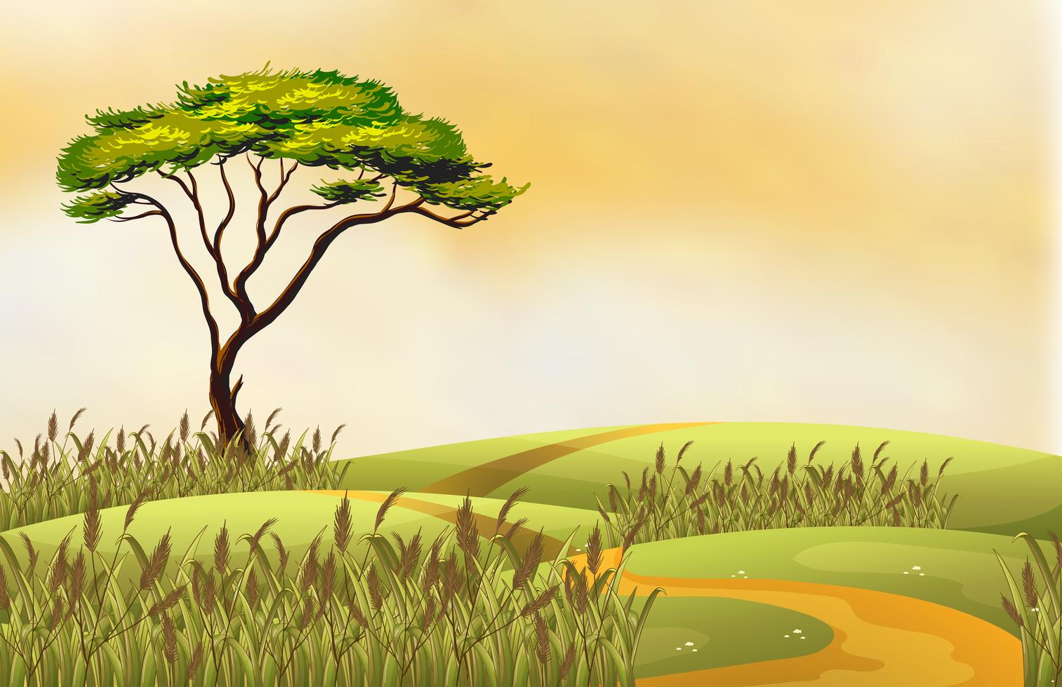 Field 521568 Vector Art at Vecteezy