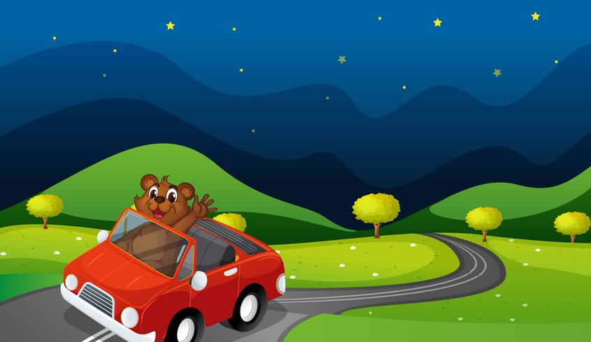 bear and car vector