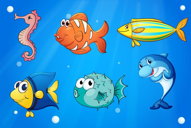 Coloridas criaturas marinas vector