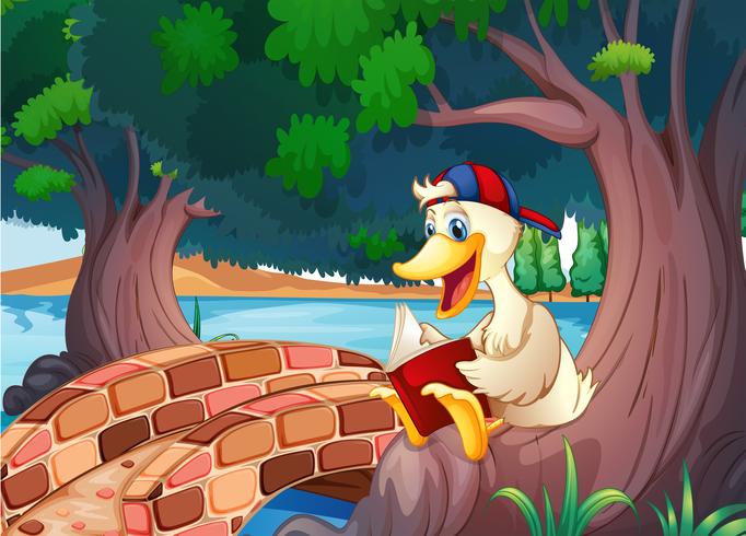 A duck reading near the bridge vector