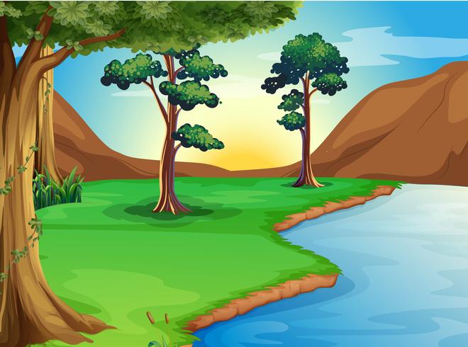 A river at the forest vector