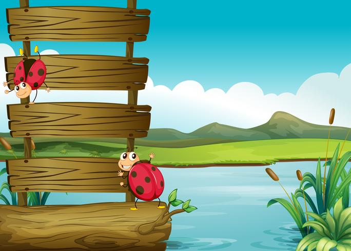Two bugs in the lake vector