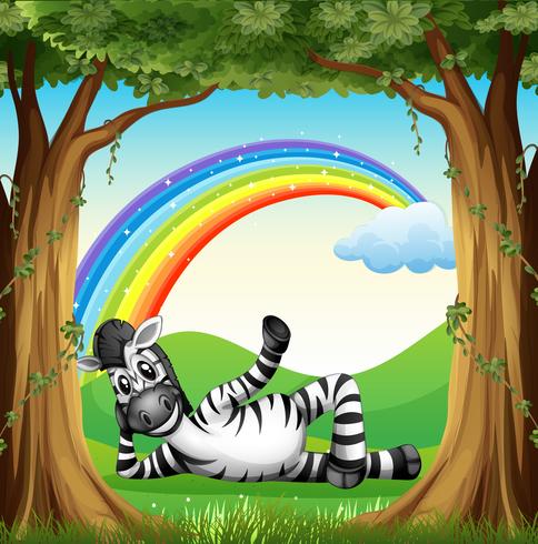 A zebra at the forest with a rainbow vector