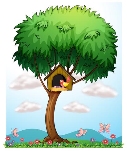 A bird in a tree with a bird house vector