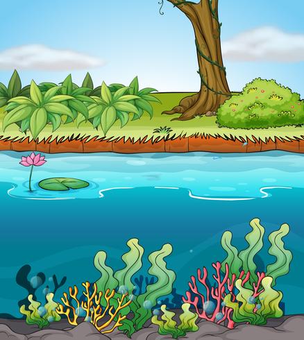 A river vector