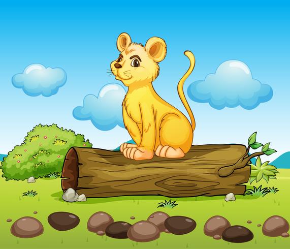 A little lion above a log vector