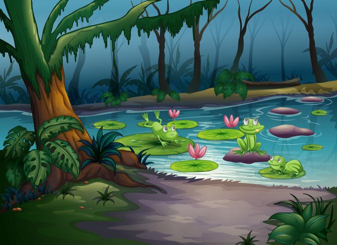 Frogs and a river vector