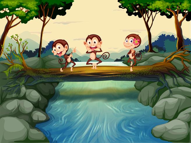 Three monkeys crossing the river vector