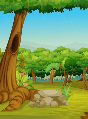 Forest scene vector