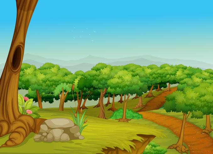 forest path 521754 Vector Art at Vecteezy