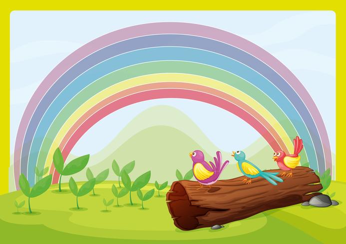 Birds watching the rainbow vector