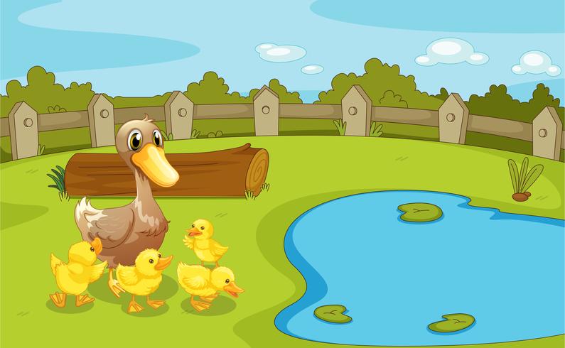 Patos cerca del pequeño estanque vector