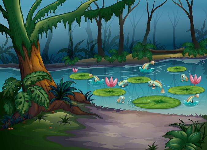 Fishes in the jungle vector
