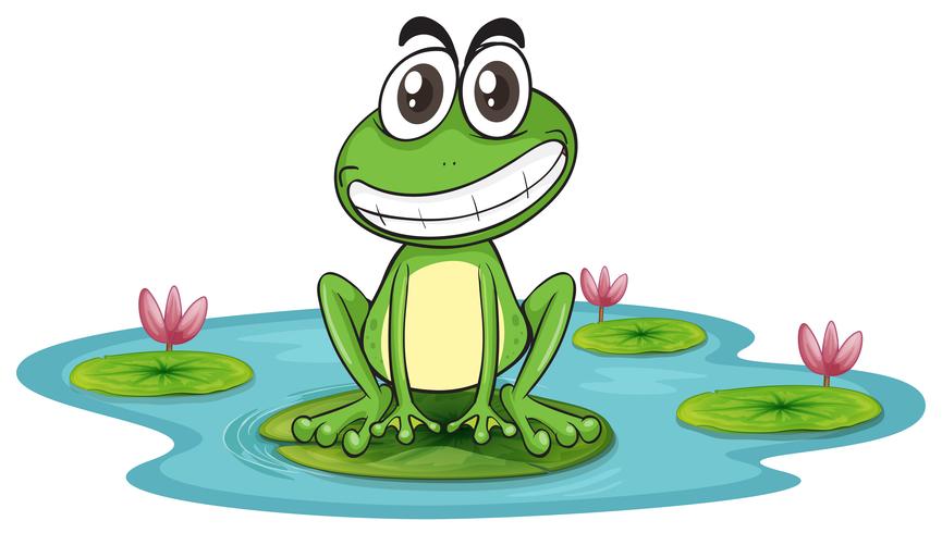 a frog and a water vector