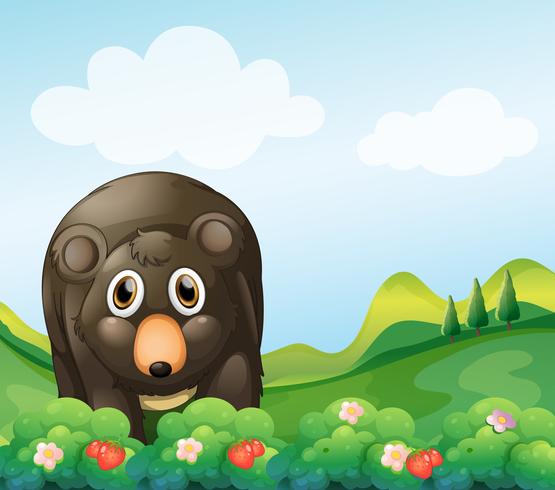 A dark gray bear in the garden vector