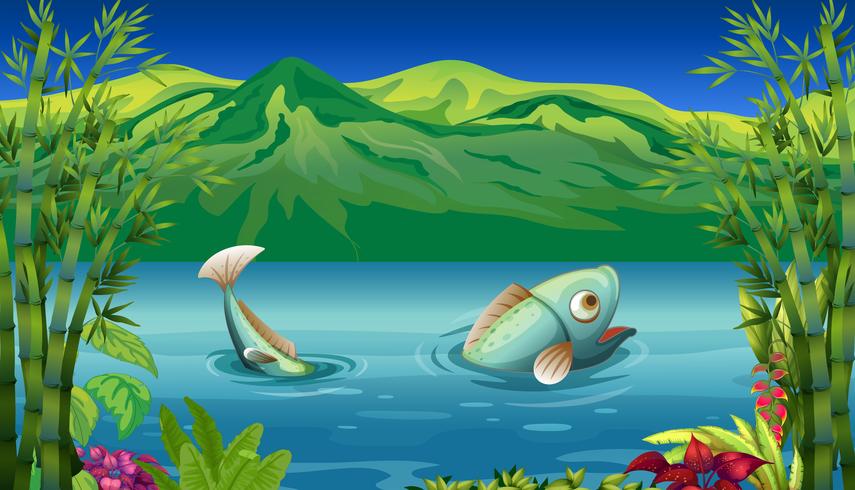 A big fish at the lake vector